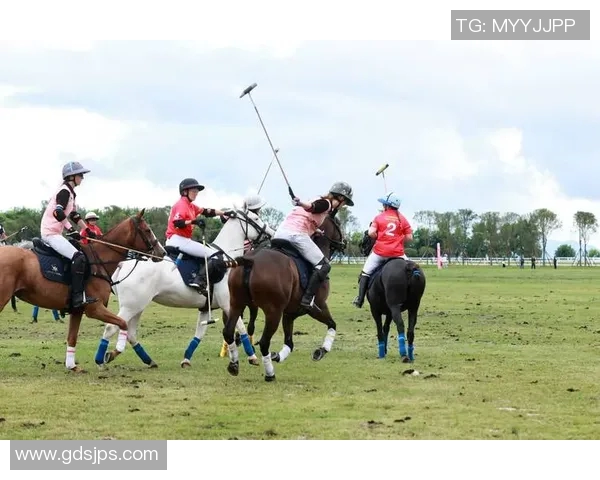 竞技体育:探索全球热门赛事、运动员精神与竞技文化的深度分析