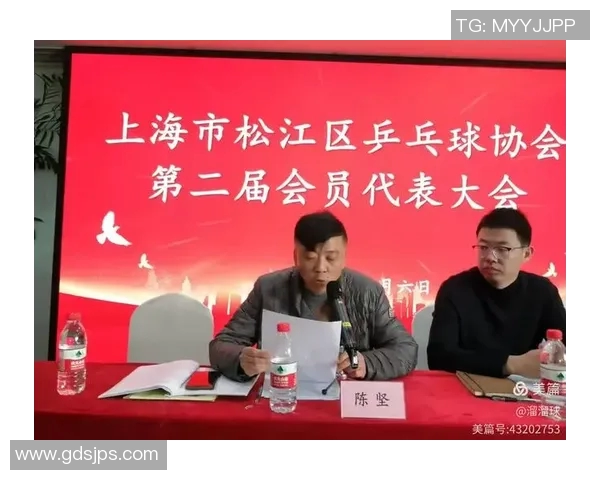 上海乒乓球队的崛起与发展探讨聚焦乒乓球的力量与未来